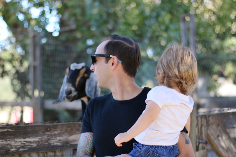 Checking out the farm animals