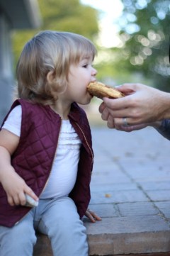 Oatmeal Pumpkin Cookie Sandwich