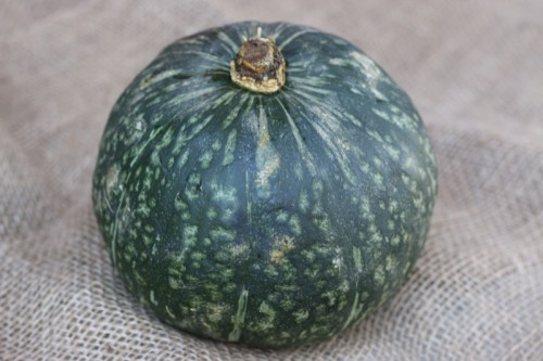Sausage and Apple Stuffed Kabocha Squash