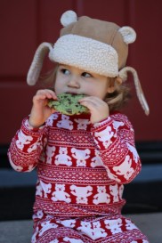 Mint & Chocolate Cookies