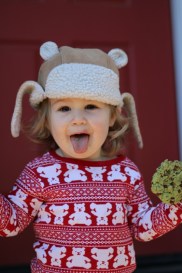 Mint & Chocolate Cookies